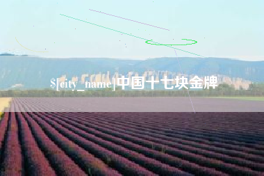 长沙中国十七块金牌