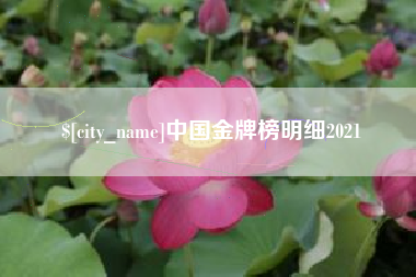 长沙中国金牌榜明细2021