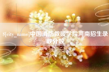 长沙中国消防救援学院河南招生录取分数