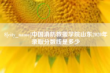 长沙中国消防救援学院山东2020年录取分数线是多少