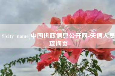 长沙中国执政信息公开网-失信人员查询页