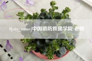 长沙中国消防救援学院 老师