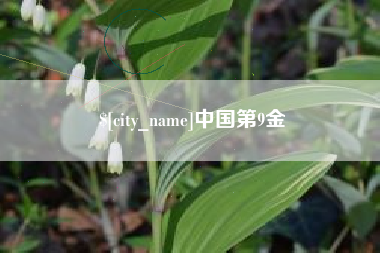 长沙中国第9金
