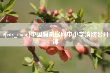 长沙中国消防官网中小学消防公开课
