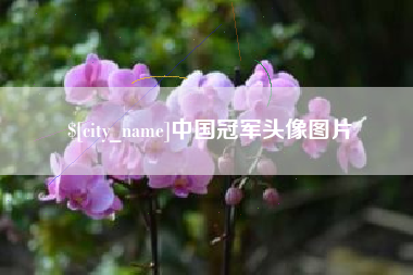 长沙中国冠军头像图片