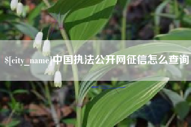 长沙中国执法公开网征信怎么查询