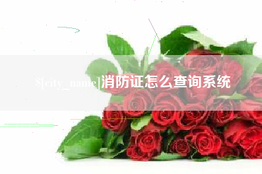 长沙消防证怎么查询系统