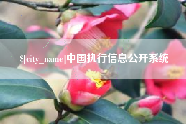 长沙中国执行信息公开系统