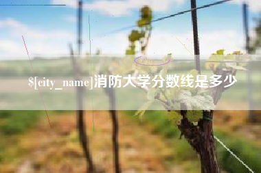 长沙消防大学分数线是多少