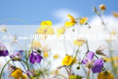 长沙中国消防救援学院有年龄限制吗