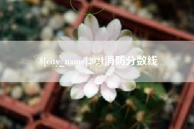 长沙2021消防分数线