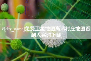 长沙免费卫星地图高清村庄地图看到人实时下载