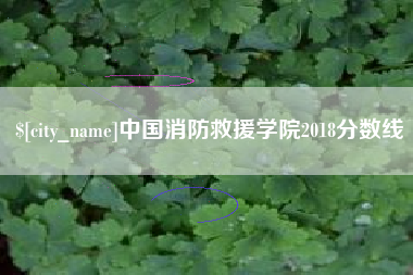 长沙中国消防救援学院2018分数线