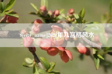 长沙2021年九宫格风水