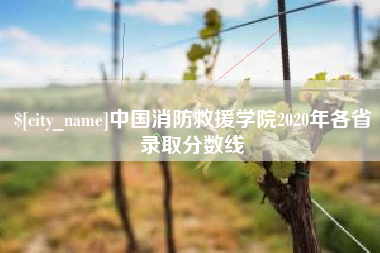 长沙中国消防救援学院2020年各省录取分数线