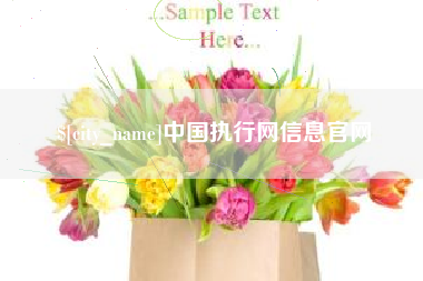 长沙中国执行网信息官网
