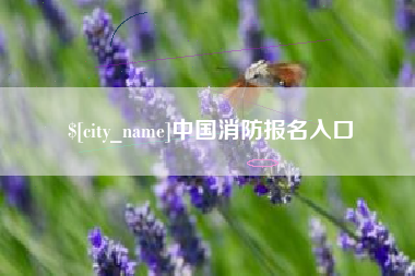 长沙中国消防报名入口
