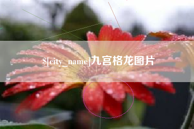 长沙九宫格龙图片