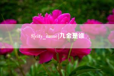 长沙九金是谁