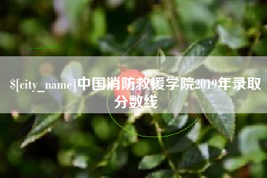 长沙中国消防救援学院2019年录取分数线