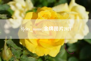 长沙金牌图片2021
