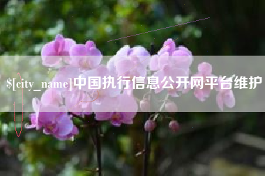 长沙中国执行信息公开网平台维护