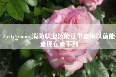长沙消防职业技能证书查询以前能查现在查不到