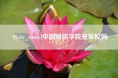 长沙中国消防学院是军校吗