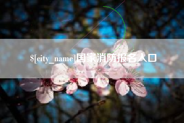 长沙国家消防报名入口
