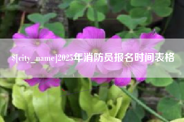 长沙2025年消防员报名时间表格