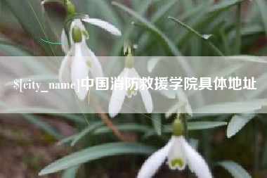 长沙中国消防救援学院具体地址