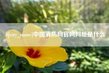 长沙中国消防网官网网址是什么