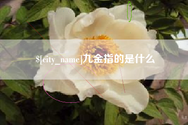长沙九金指的是什么