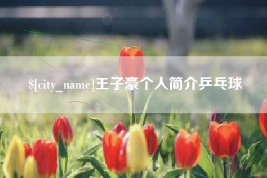 长沙王子豪个人简介乒乓球
