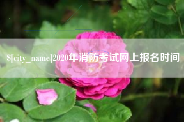 长沙2020年消防考试网上报名时间