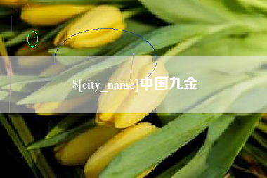 长沙中国九金