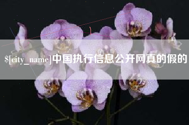 长沙中国执行信息公开网真的假的