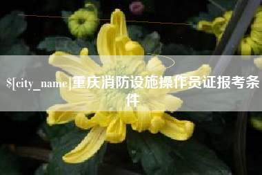 长沙重庆消防设施操作员证报考条件