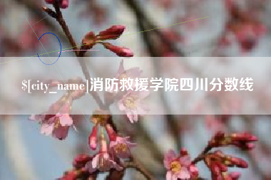 长沙消防救援学院四川分数线