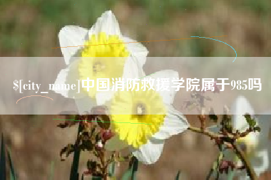 长沙中国消防救援学院属于985吗