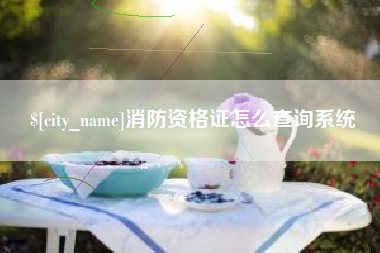 长沙消防资格证怎么查询系统