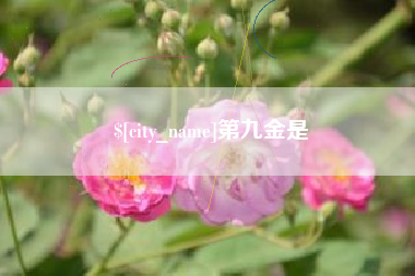 长沙第九金是