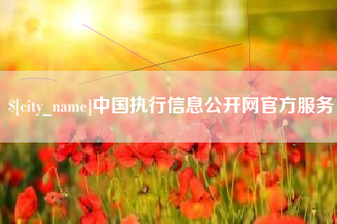 长沙中国执行信息公开网官方服务