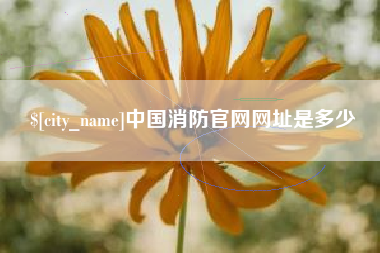 长沙中国消防官网网址是多少