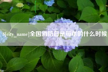 长沙全国消防日是每年的什么时候