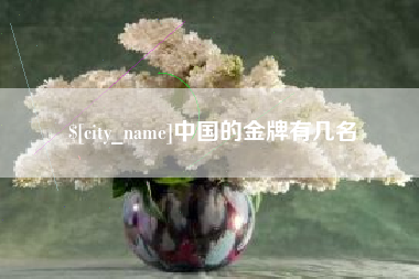长沙中国的金牌有几名