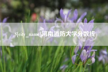 长沙河南消防大学分数线