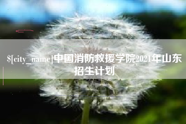 长沙中国消防救援学院2021年山东招生计划