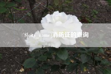 长沙消防证的查询
