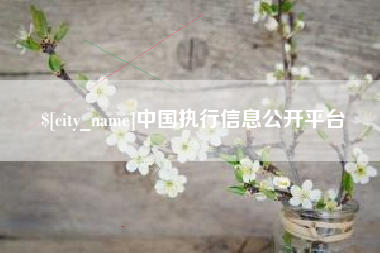 长沙中国执行信息公开平台